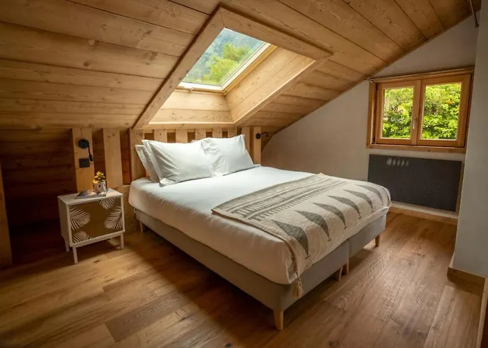 Eden Spacieux Vues Jacuzzi Cheminee Bbq * 霞慕尼